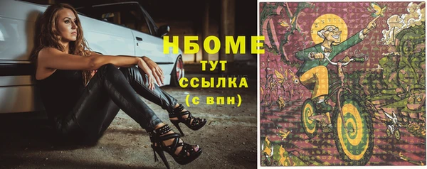 эйфоретик Баксан